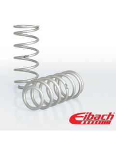 Pro-Lift Performance Rear Coil Spring Set for 2010+ 4Runner (E30-82-071-01-02)